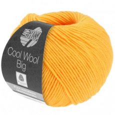 Cool Wool Big 995