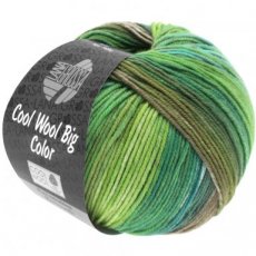 Cool Wool Big Color 4002