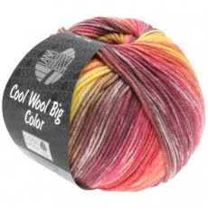 Cool Wool Big Color 4017